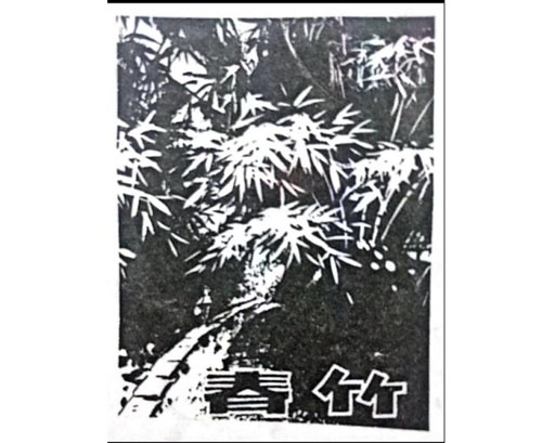 公司商标_kg体育下载